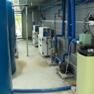 전남 해남 늘파파(배추 절임수 재활용)